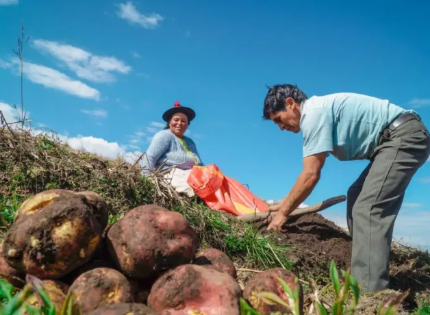 dia-del-campesino-rol-clave-de-quienes-alimentan-al-pais dia-del-campesino-rol-clave-de-quienes-alimentan-al-pais